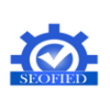 SEOFIED IT SERVICES PVT LTD