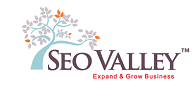 SEOValley Solutions Private Limited Logo