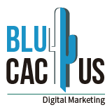 BluCactus