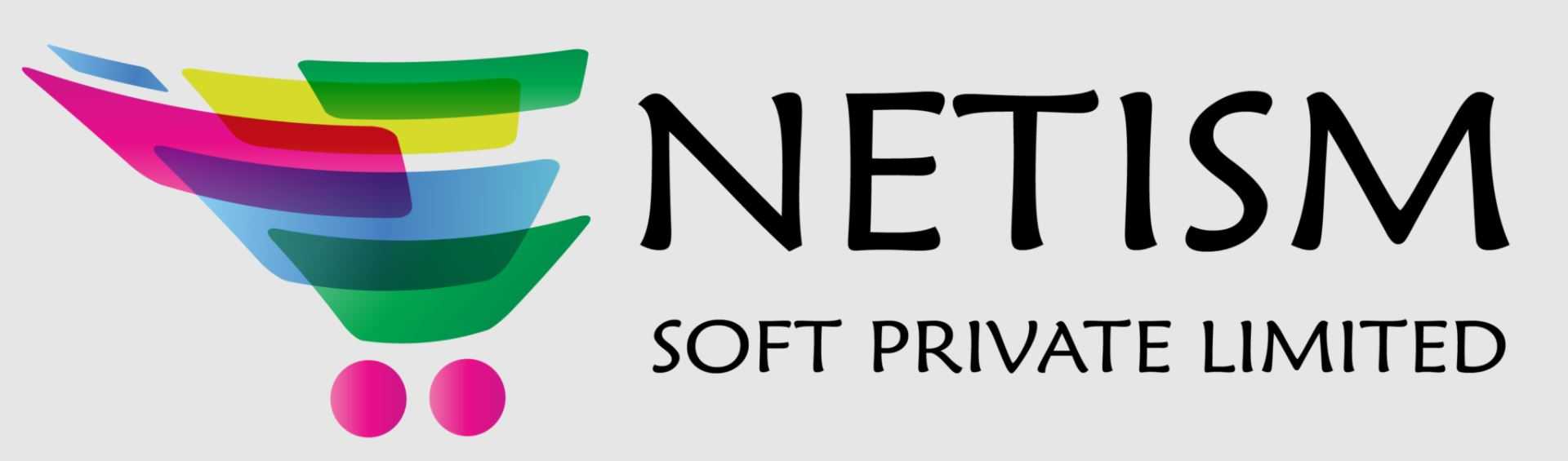 Netism Soft Logo