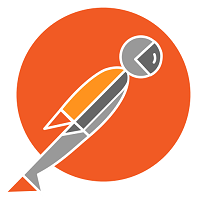 Postman Pro