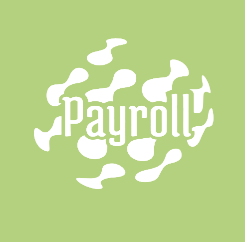 SAN Payroll logo